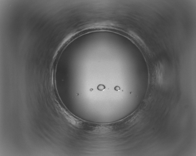 X0000052611224200507011219