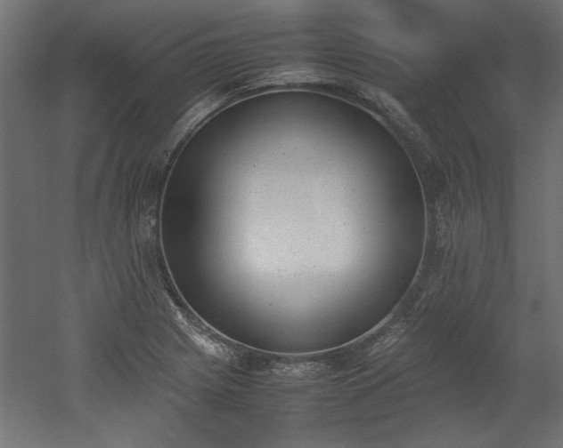 X0000052611225200507011219