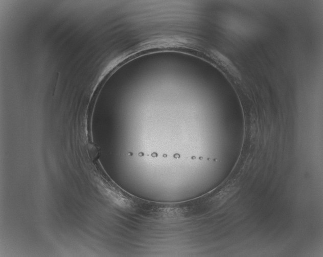 X0000052611226200507011219