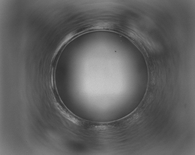 X0000052611227200507011219