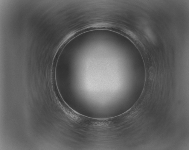 X0000052611229200507011219