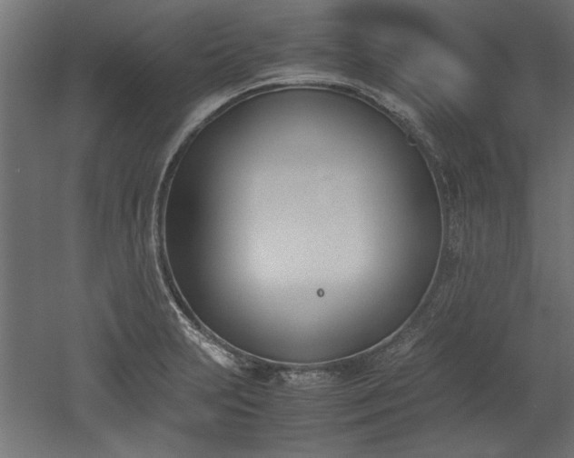 X0000052611231200507011219