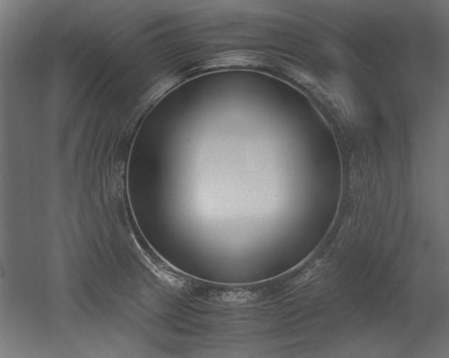 X0000052611233200507011219