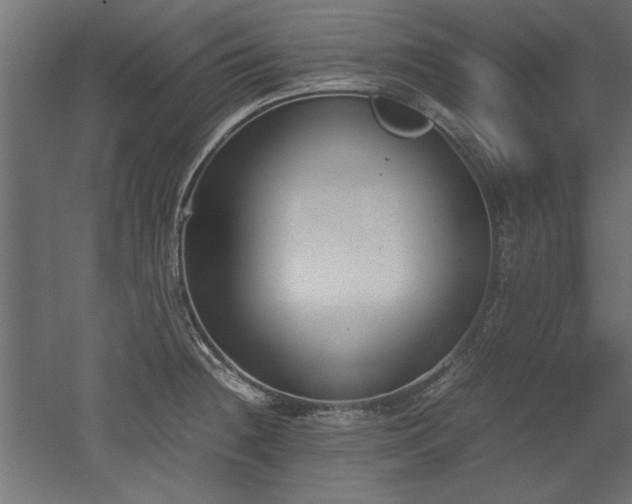 X0000052611236200507011219