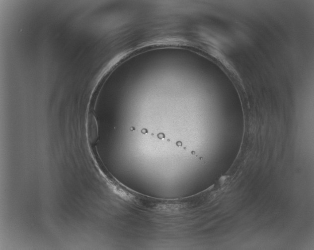 X0000052611237200507011219