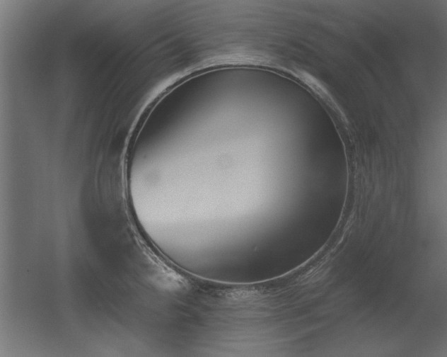 X0000052611238200507011219