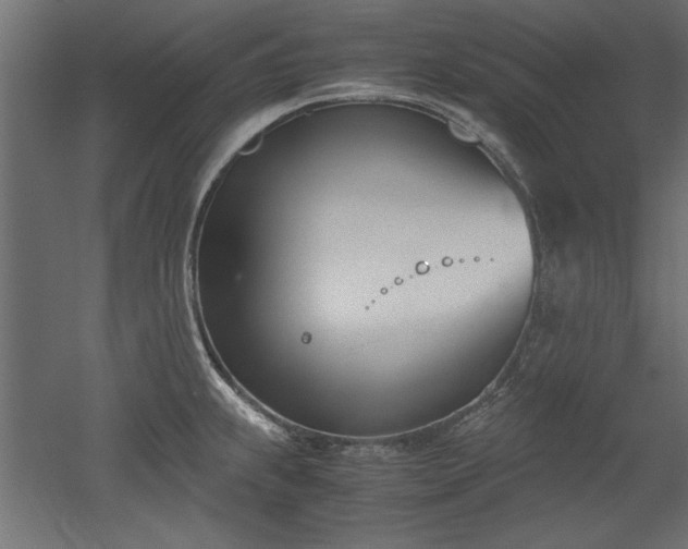 X0000052611239200507011219