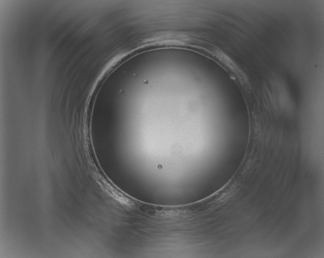 X0000052611240200507011219