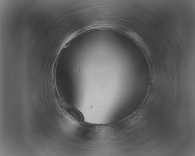 X0000052611242200507011219