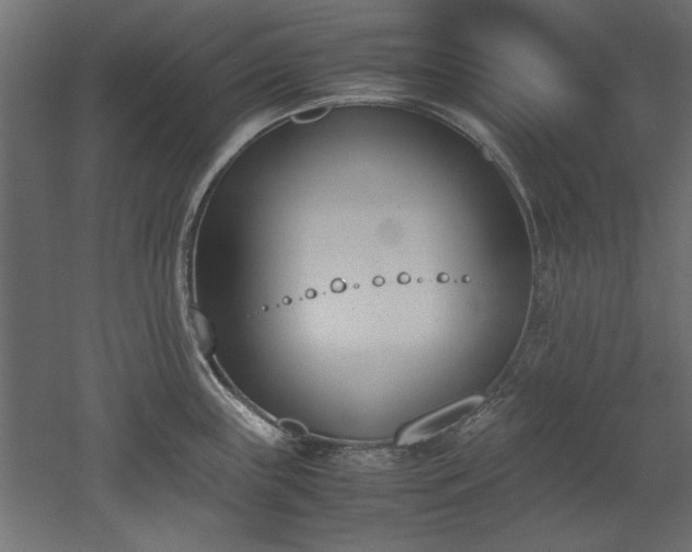 X0000052611243200507011219