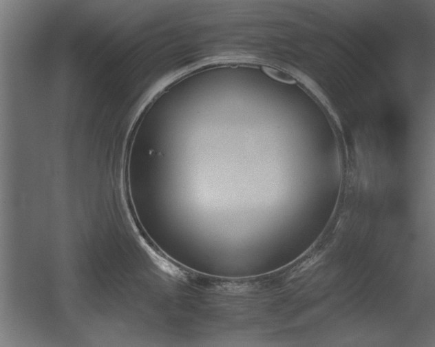 X0000052611245200507011219