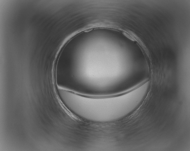 X0000052611246200507011219