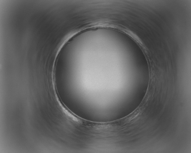 X0000052611247200507011219