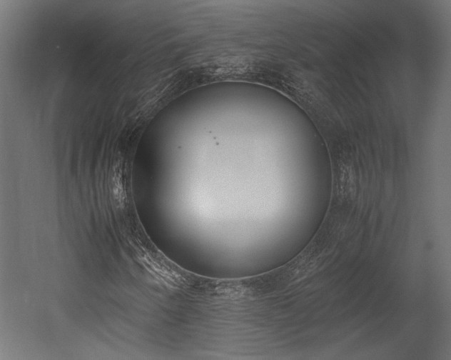 X0000052611250200507011218