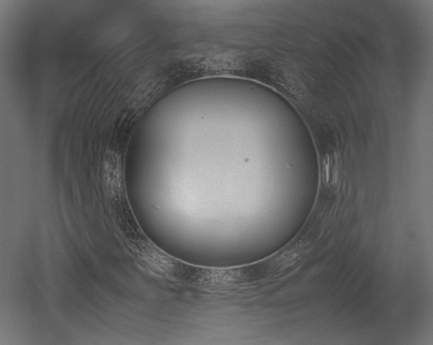 X0000052611251200507011218