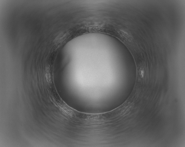 X0000052611252200507011218