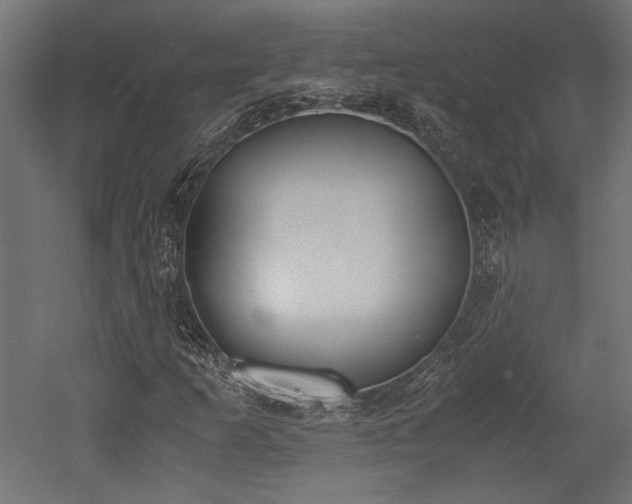 X0000052611253200507011218