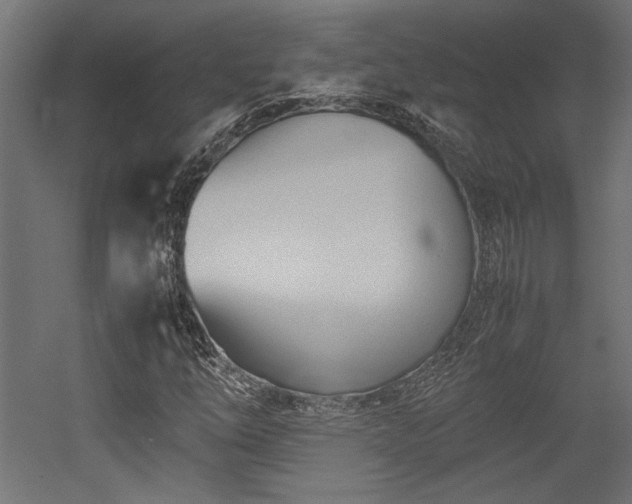 X0000052611254200507011218