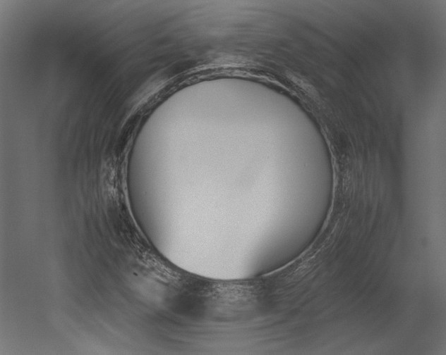 X0000052611258200507011218