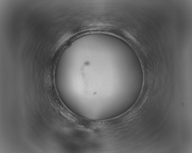 X0000052611259200507011218