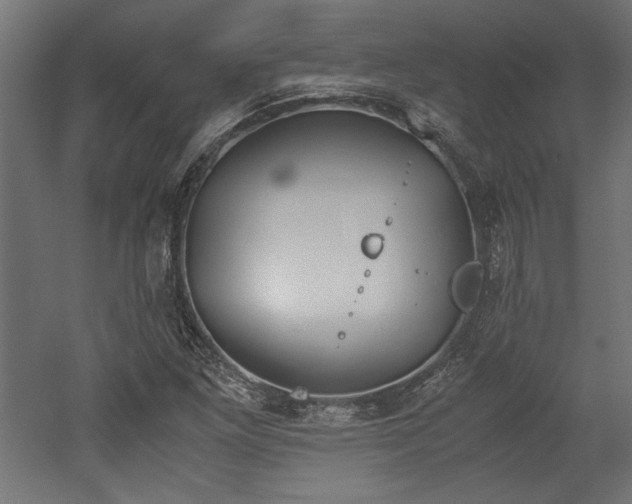 X0000052611261200507011218