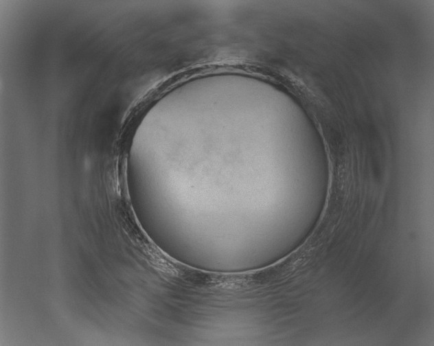 X0000052611262200507011218