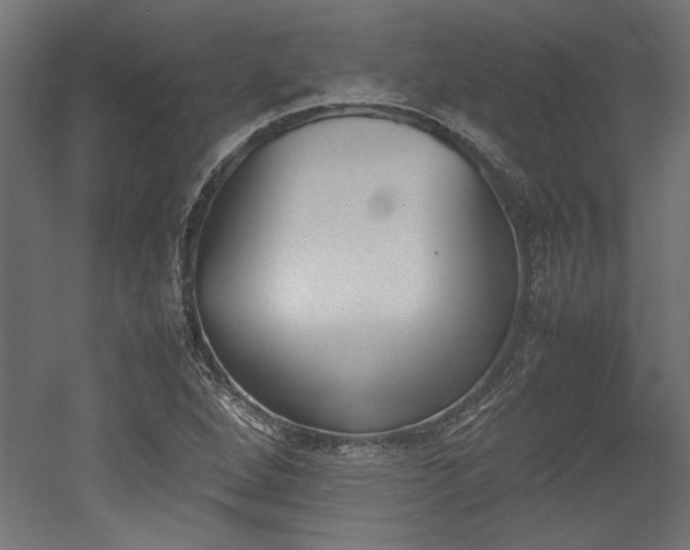 X0000052611264200507011218