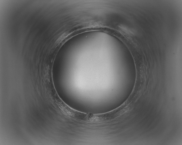 X0000052611265200507011218