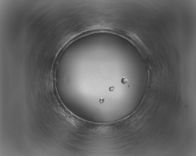 X0000052611268200507011218