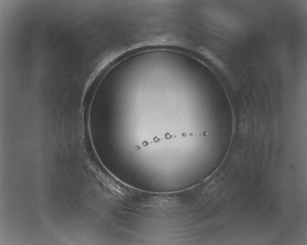 X0000052611270200507011218