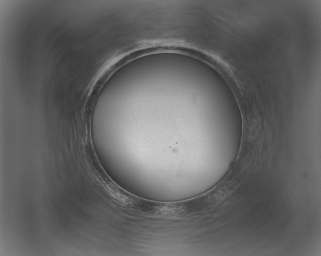 X0000052611271200507011218