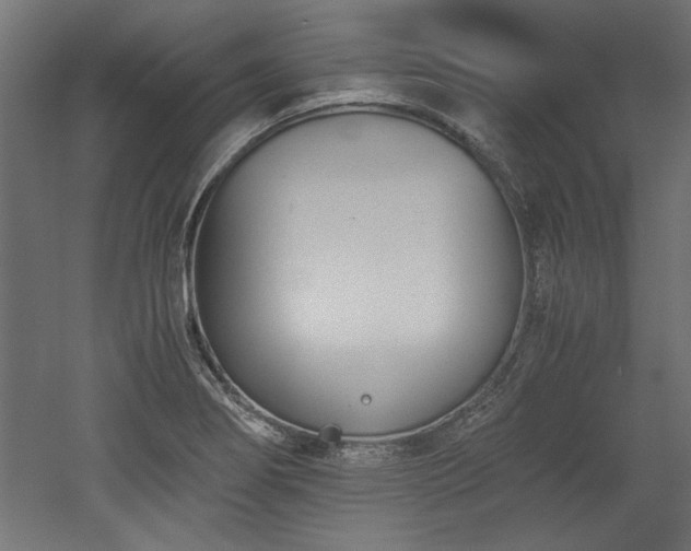 X0000052611274200507011218