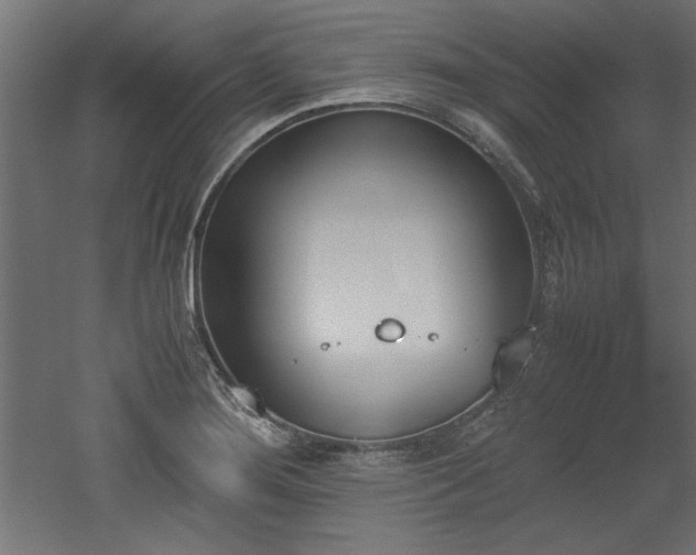 X0000052611276200507011218