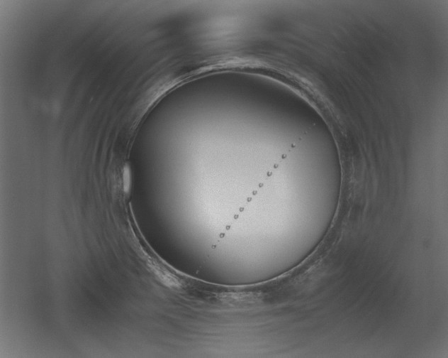 X0000052611281200507011218