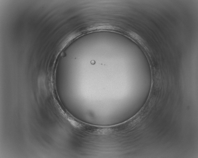 X0000052611282200507011218