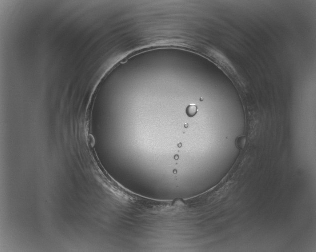 X0000052611284200507011217