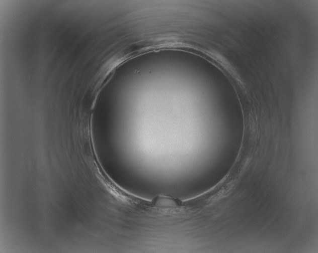 X0000052611289200507011217