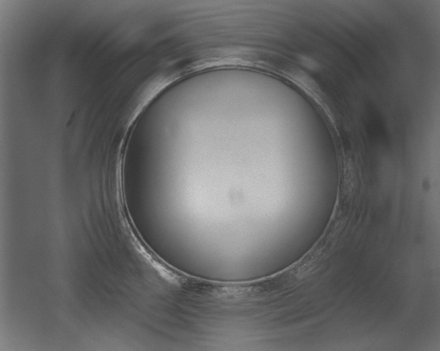 X0000052611290200507011217