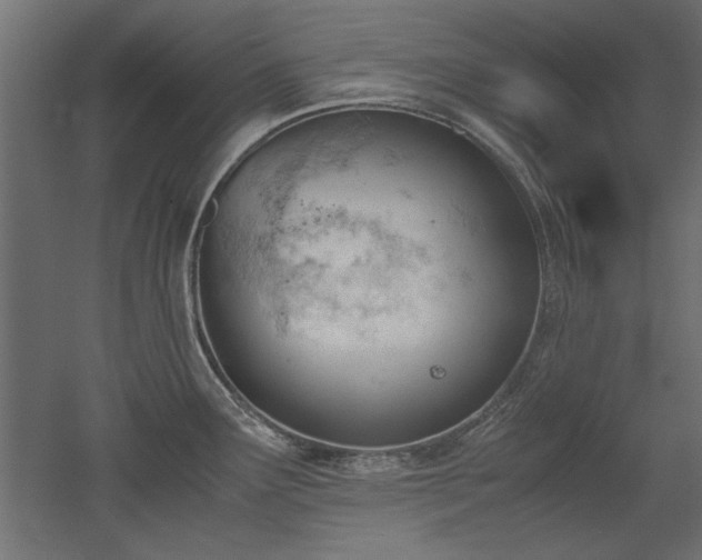 X0000052611291200507011217