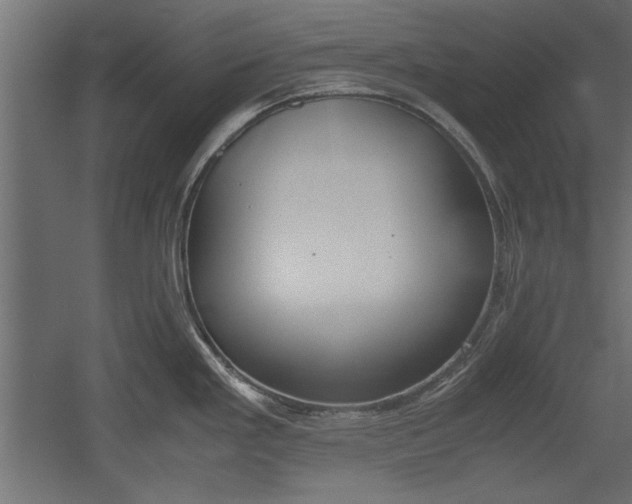 X0000052611293200507011217