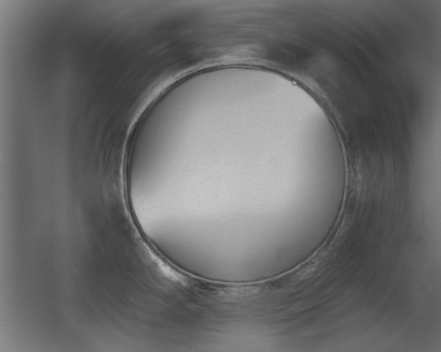 X0000052611294200507011217