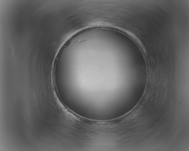 X0000052611295200507011217