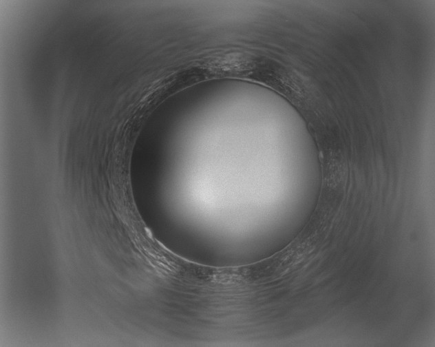 X0000052611297200507011216