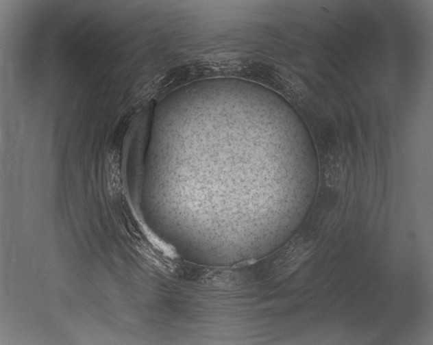 X0000052611298200507011216