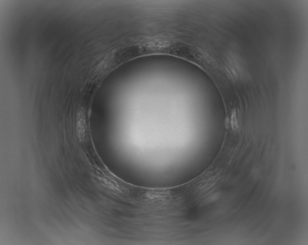 X0000052611299200507011216