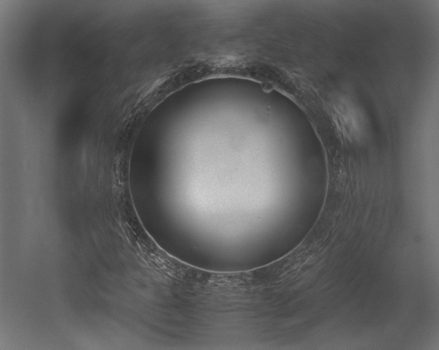 X0000052611301200507011217