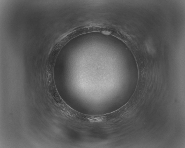 X0000052611303200507011217