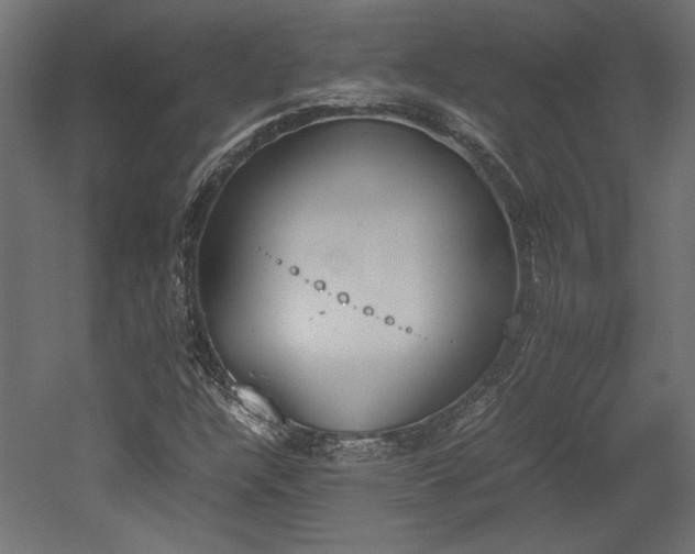 X0000052611304200507011217