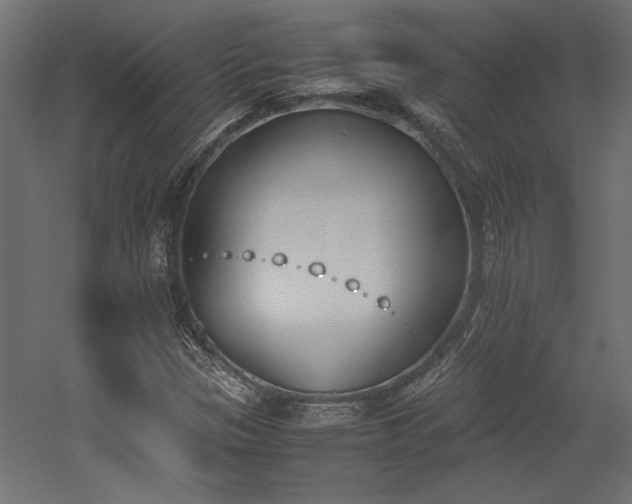 X0000052611305200507011217