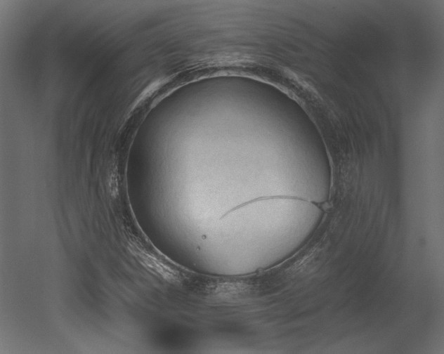 X0000052611306200507011217